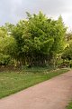 0060Arboretum Vallee aux loups